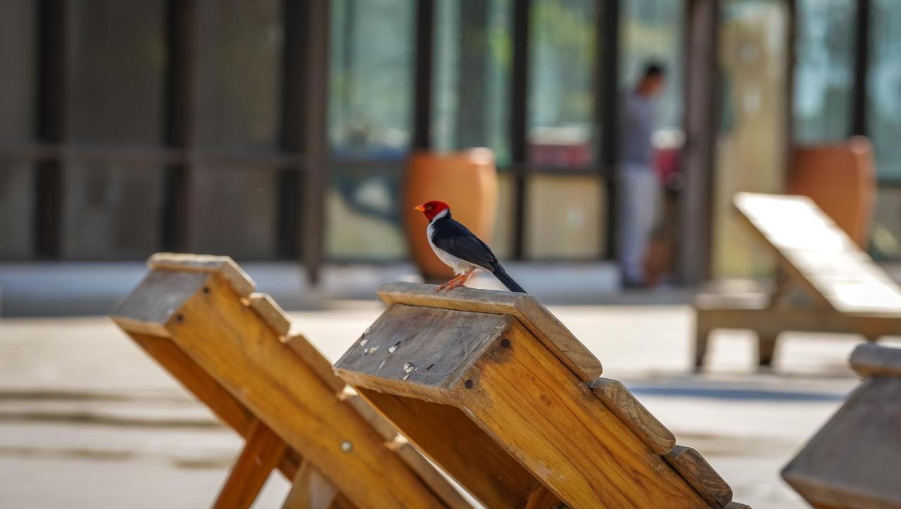 Santa Rosa Pantanal Hotel Porto Jofre Dış mekan fotoğraf